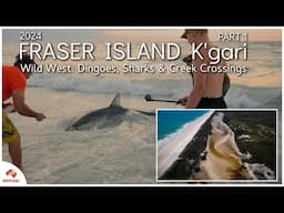 Fraser Island's Wild West: Dingos, Sharks & Creek Crossings [Part 2]