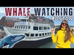 Boston Whale Watching tour | Humpback whale | First time in USA | Boston Travel Guide | India to USA