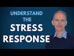 Don't Stress! Understand the Stress Response instead!