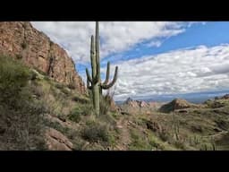 What It's Like to Bikepack Passage 16 of the Arizona Trail (AZT)