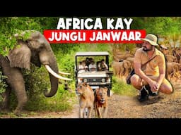 Africa Kay Jungli Janwaar | Adventure Wild Safari in KENYA 🐘🦒