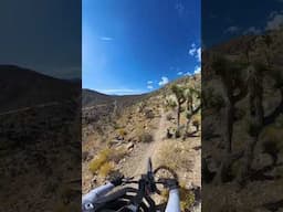 The Back Of Fremont Street #insta360x4 #lasvegastrails #lasvegasmtb #nevadatrails #mtbnevada