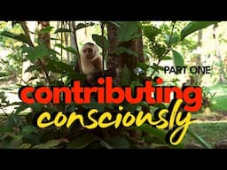 Contributing to Society... More Consciously? (Part 1)