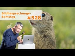 Bildbesprechung 528