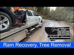 Ram Recovery & Tree in Roadway