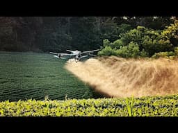 Spot Spraying Our Own Fields | Agri Spray Drones DJI T50