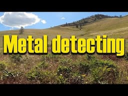 Metal detecting old historic Montana homesteads!  Ep 320 #metaldetecting #treasurehunting #history