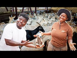 How A Young Female Computer Science Graduate Became A Farmer In Botswana!🇧🇼