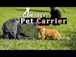 WILDGOGO Pet Carrier | Expandable Pet Carrier for You Pet