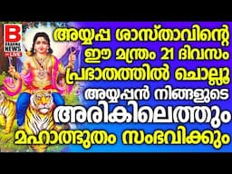 അയ്യപ്പ ശാസ്താവിന്റെ ഈ മന്ത്രം 21 ദിവസം പ്രഭാതത്തില്‍  ചൊല്ലൂ.. SABARIMALA AYYAPPANBRAHMA NEWS LIVE