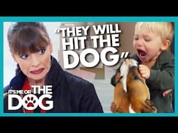 Kids That Punch Their Dog are At MAJOR Risk of Bites | It's Me or The Dog