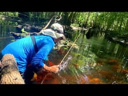 *DEEP* in the Woods!! - Micro Fishing Nano Aquarium Fish