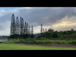 Empathy 4 A ch*ld ab*ser? Walk n talk Maui morning ☀️🏔️