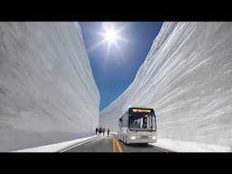 Tateyama Snow Corridor - 65 Feet High Snow Walls