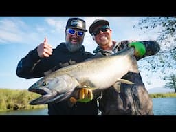 Tidewater BOBBER DOWNS! - Coastal Fall Chinook Fishing