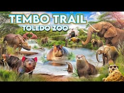 Zoo Tours: The Wild & Weird Tembo Trail at the Toledo Zoo