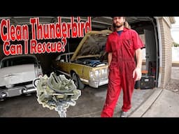 Pristine 73 Thunderbird Rescue | Can a Millineial Mechanic tune and rebuild a carb? Powered by T500