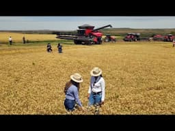 AGRICULTURA NO BRASIL A TODO VAPOR - Massey Ferguson!