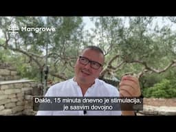 Mangrowe Drops - Zašto je čitanje psihoterapija?