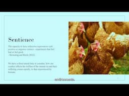 Cage Free Africa: Why It's Important | Dr. Sunday, Agbonika | EA Nigeria Summit 2024