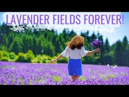 Oregon Lavender Festival 2019 at The Oregon Lavender Farm | My Oregon Adventures!