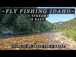 Idaho is a must visit - A look at 4 streams in 8 days - A fly fishing/truck camping adventure!