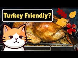 Is Thanksgiving Turkey Safe For Cats?