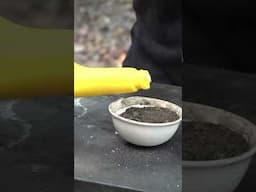 How to make a Carbon Snake with Sugar! #shorts #scienceexperiment #chemistry #fireworks