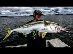 Big winter Kingfish | Huge fish teaches me a lesson