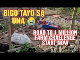 ROAD TO 1 MILLION FARM CHALLENGE START NOW #farming #farm