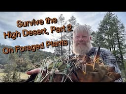 Surviving the High Desert on Foraged Plants, Part 2 (My Survival Feast)