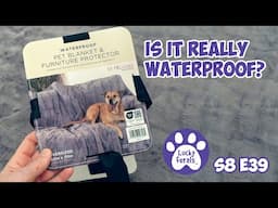 Costco's Brentwood Pet Blanket Review. Is It REALLY Waterproof?