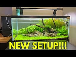 WaterBox Aquariums Stand Overview | 40B Update!