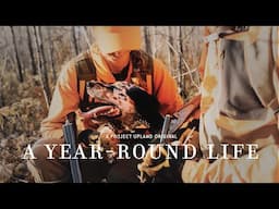 Minnesota Outdoors Year-Round with Bird Dogs: Grouse Hunting, Steelhead Fishing & Woodcock Banding