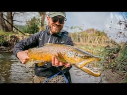 Late Season Fly Fishing for BIG Brown Trout (New Zealand)