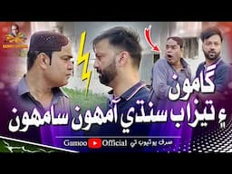 Gamoo Ain Tezaab Sindhi Aamhon Samhon | Asif Pahore (Gamoo) | Hyder Qadri | New Video | 2024