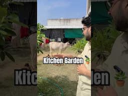 Kitchen Garden with modular Kitchen #kitchengarden #interiordesign