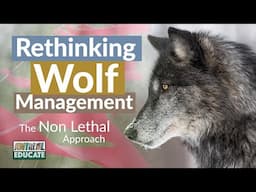 Rethinking Wolf Management - Non-Lethal Alternatives and the Consequences of Killing Wolves 🐺