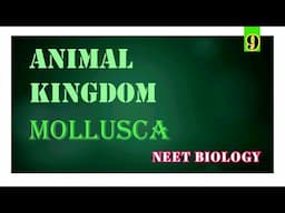 Mollusca | Animal Kingdom | Neet Biology | Biology Classes | Biology Blog | Neet 2021