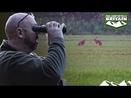 Shooting hares to control poachers