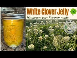 Clover Jelly | Useful Knowledge