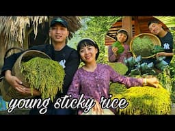 The Taste of Tradition: Tuan & Hang Harvest Young Rice and Create Sweet Delicacies! SUNG A PAO