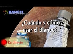 ¿Cuándo y cómo usar el blanco?  - Hangel Montero