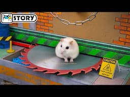 Hamster Escapes the Most Dangerous Prison Maze - Shorts 🐹 Homura Ham Pets