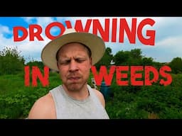 Overgrgrown Allotment Progress. How I've Made My Weed Problem Worse. Vlog 7