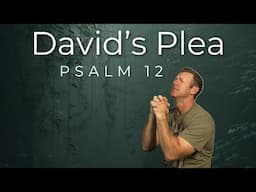 David's plea to God. Study of Psalm 12