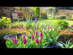 Turn Your Garden into a Flower Paradise  Easy to Care Flowers