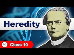 Heredity and Mendel's Laws || for Class 10 in Hindi