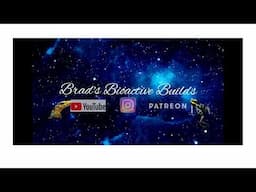 Brad's Bioactive Builds Live Stream