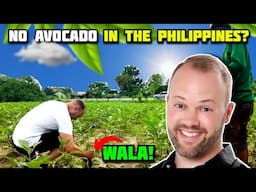 My First Ever Vegetable Plucking Vlog In The Philippines